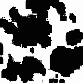 ���������� �����������