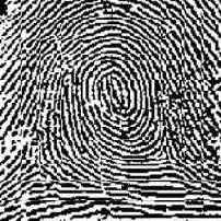 ������������� � ����������� ����������� �����������