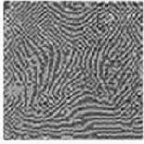 ������������� � ����������� ����������� �����������