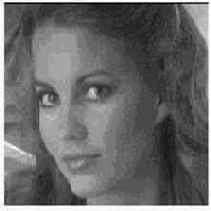 ������������� � ����������� ����������� �����������