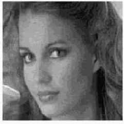 ������������� � ����������� ����������� �����������