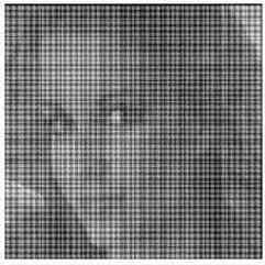 ������������� � ����������� ����������� �����������