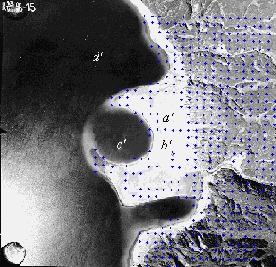 �������������� � �������������