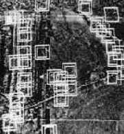 �������������� �������������� � �������� �����������