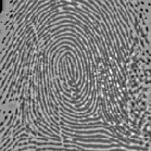 ��������� ����������� �������� ����������� ����� ������������� ��������������