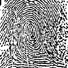 ��������� ����������� �������� ����������� ����� ������������� ��������������