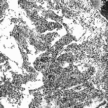 ��������� ����������� �������� ����������� ����� ������������� ��������������