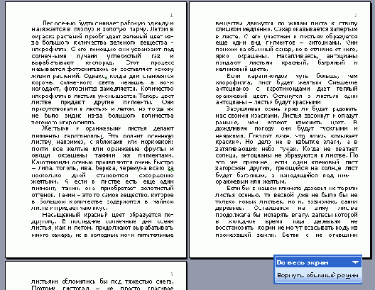 Установка полей и ориентации страницы