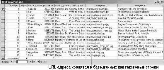 ���������� ������������ ����������� � �������������� ����������� ���������