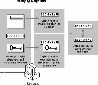 Проверка цифровой подписи