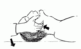 ������������ �����������������