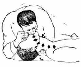 ������������ �����������������