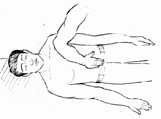 ������������ �����������������