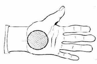 ������������ �����������������