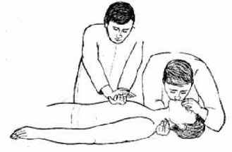 ������������ �����������������