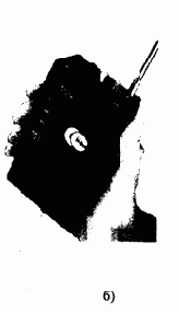 ���������� ����������������� ����, ���������������� � ������������.