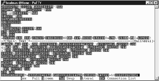 ���������� �����