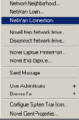 Утилита NetWare Connections отображает