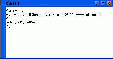 ���� xterm ����������� � ����������