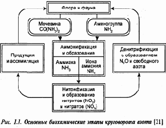 Концепция экосистемы