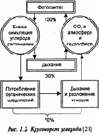 Концепция экосистемы