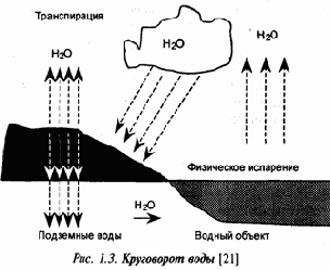 Концепция экосистемы