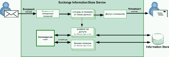 � ����������� ������������ ����������, Microsoft 