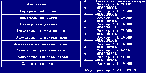 IMAGE_SECTION_HEADER