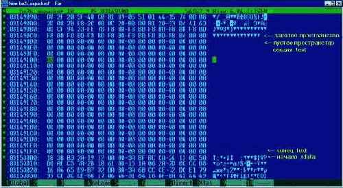 таблица секций файла