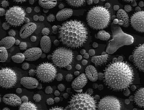 ����������������� �����