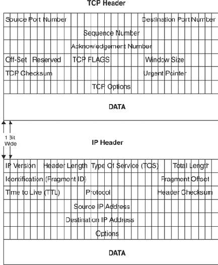 Заголовки пакетов TCP/IP