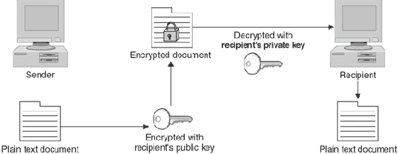 Виды криптографии