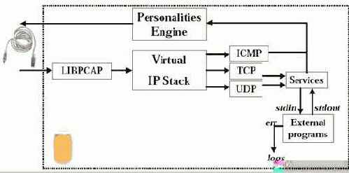 ������ ������