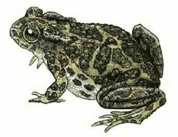 >>> ������ ��� ������� ����� ������