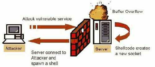 Reverse exploit ��� ���� ���� �� ���� � ��������