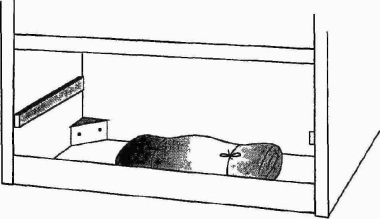 ������� �������