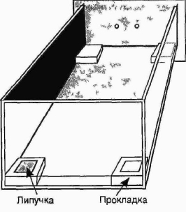 ������ � ������