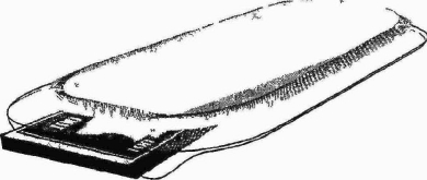 ������ � ������