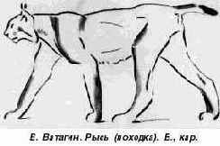 ��������� ��������