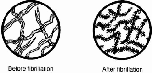 ����������������� ������