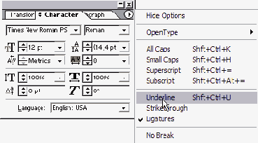 ������ �������� � ���� ������� Character