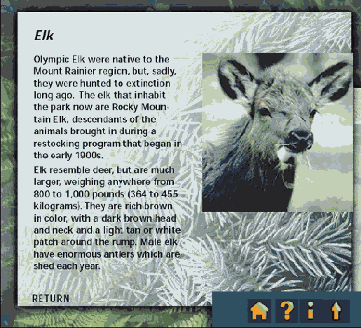 �������������� ���������� ��� ����������� ���������