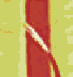 ������������� ����������� �������� Adobe PDF