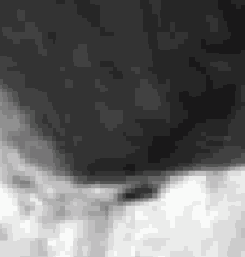 ��������� ����������� � ����������� �����������