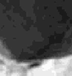 ��������� ����������� � ����������� �����������