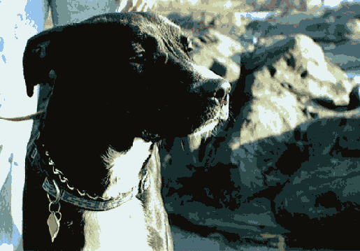 Настройка просмотра слайдов