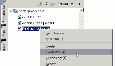 Удаление преобразованной Web-странииы