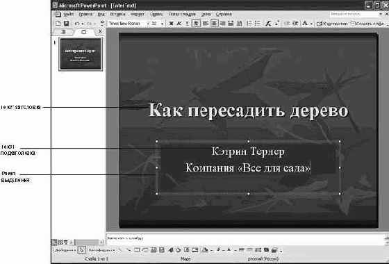 Ввод текста в слайд