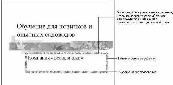 Ввод и перемещение текста в слайдах
