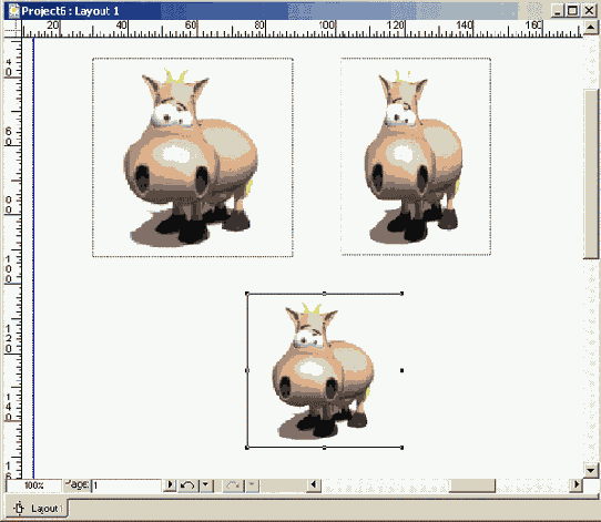 ������������ �������� �����������